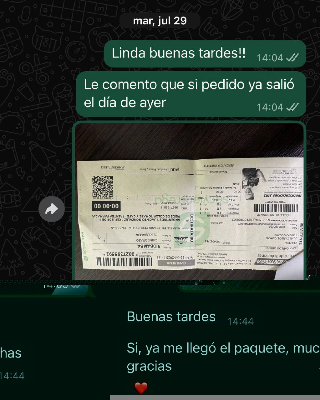 photo_5006161602335673362_y